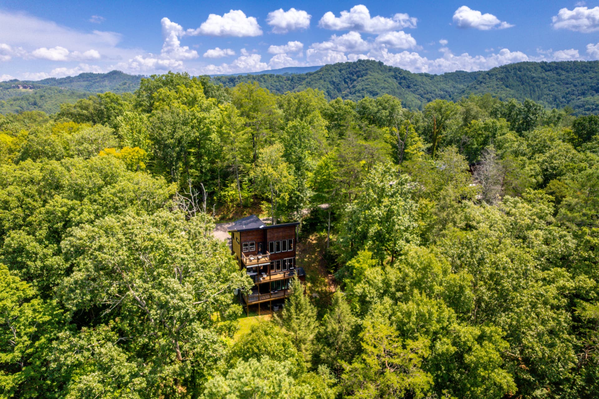 Cabin Among the Treetops