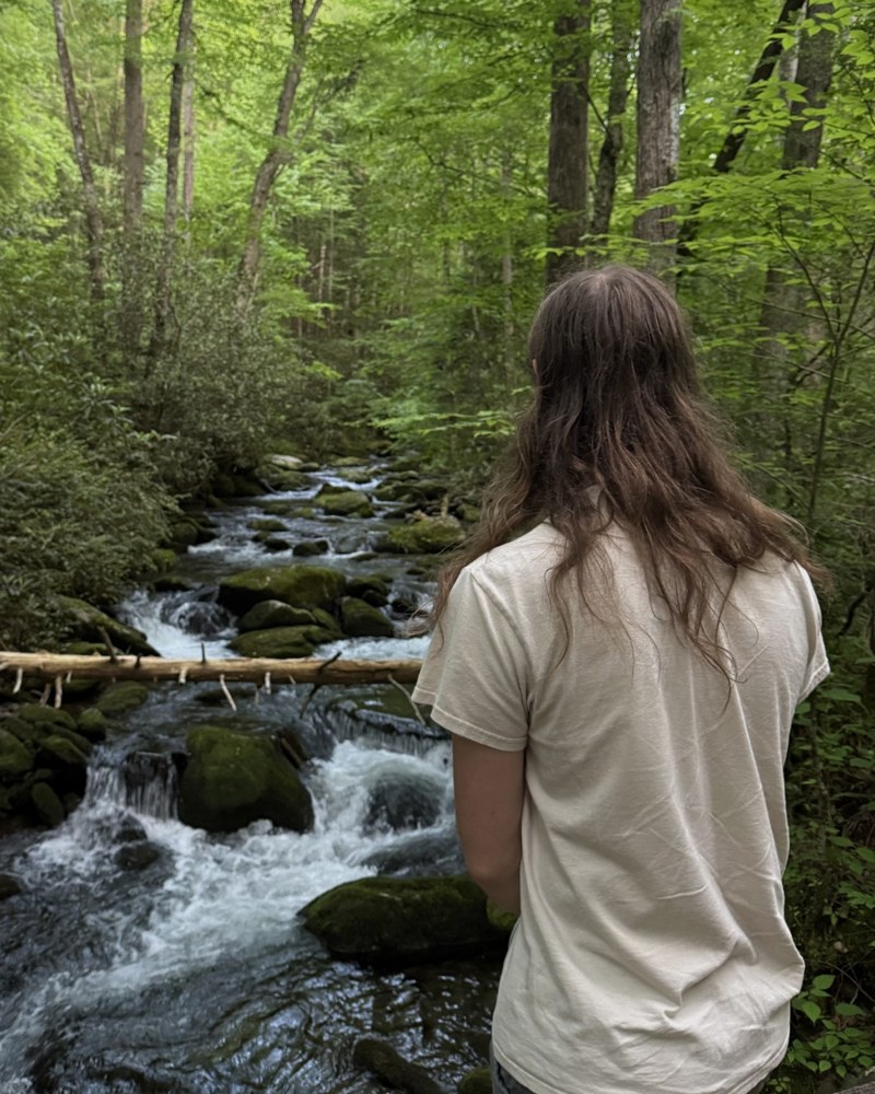 A visitor beside a forest creek in the Smokies
